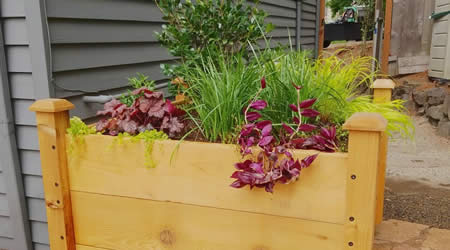 Container Garden Planting and Installation