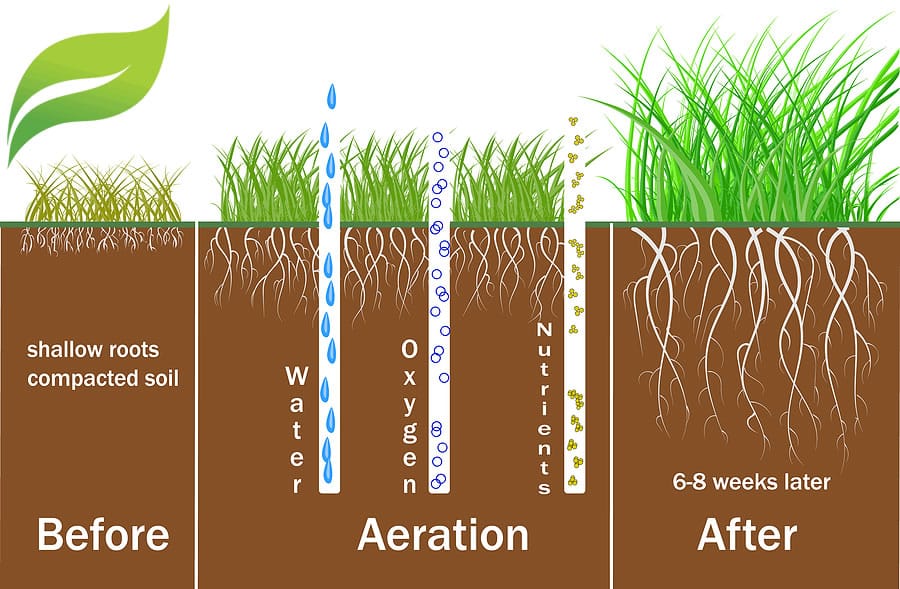 lawn-aeration-diagram